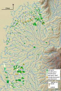 2: carte des jardins et du réseau hydrographique de l'oasis de Shimal (crédit : G. Davtian)