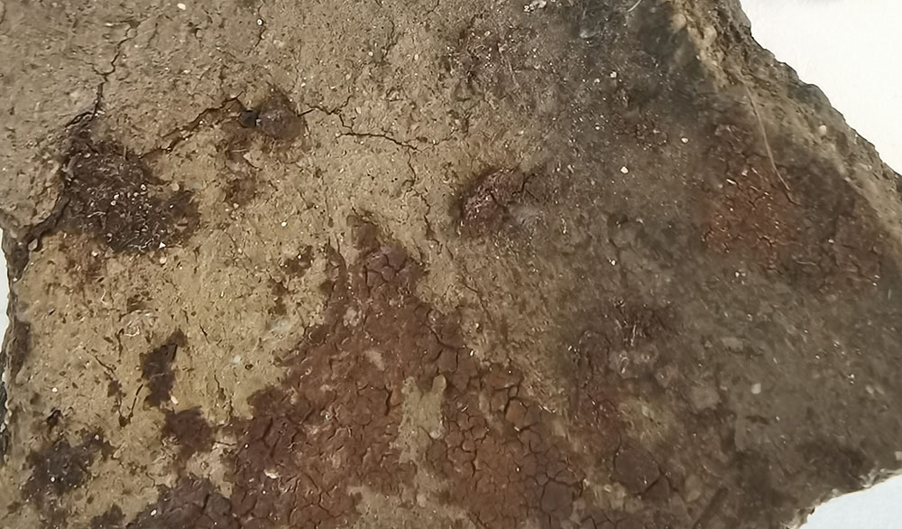 Drieu, L., Lepère, C. & Regert, M., Partly covered burnishing striations after soaking in sheep fat © Springer, Journal of Archaeological Method and Theory volume 27, pages 302–326 (2020), https://doi.org/10.1007/s10816-019-09428-8