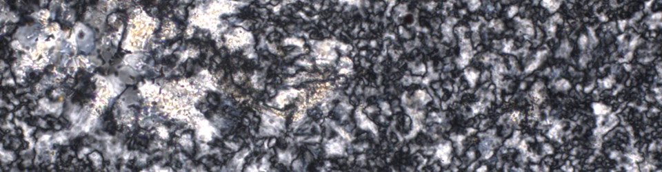 SILEX