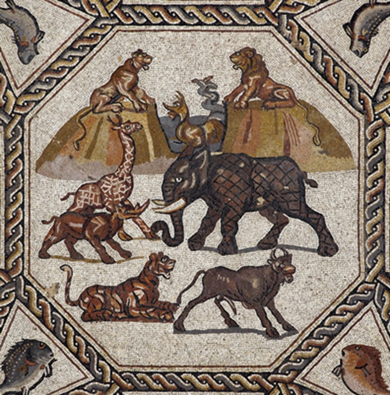 Depicting and describing animals in ancient Greece, Rome and beyond –  Zoomathia