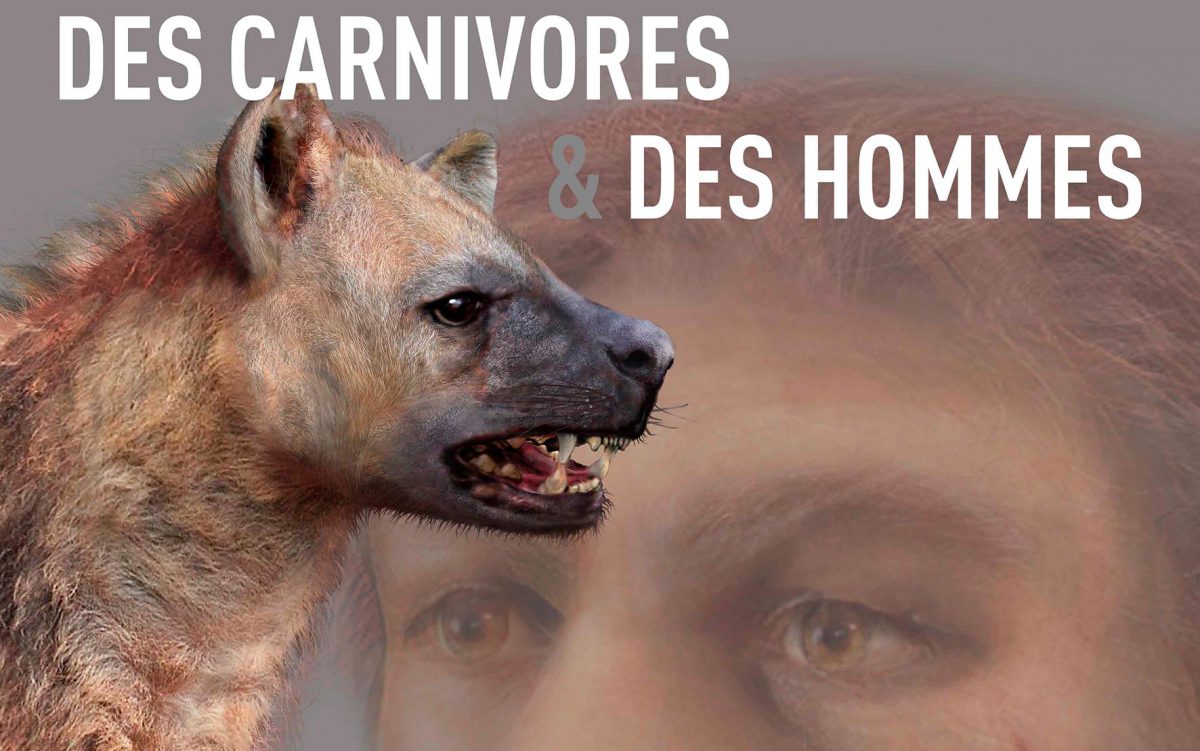 Exposition « Des carnivores et des hommes »