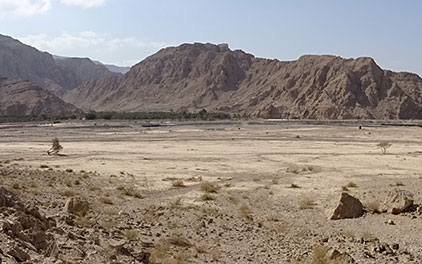 Blog | Mission Ras al Khaimah 2018 : étude de l’oasis de Shimal