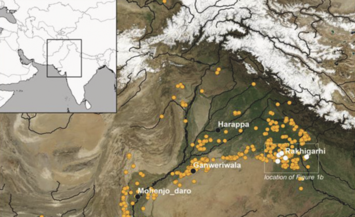 Article | Lipid residues in pottery from the Indus Civilisation in northwest India