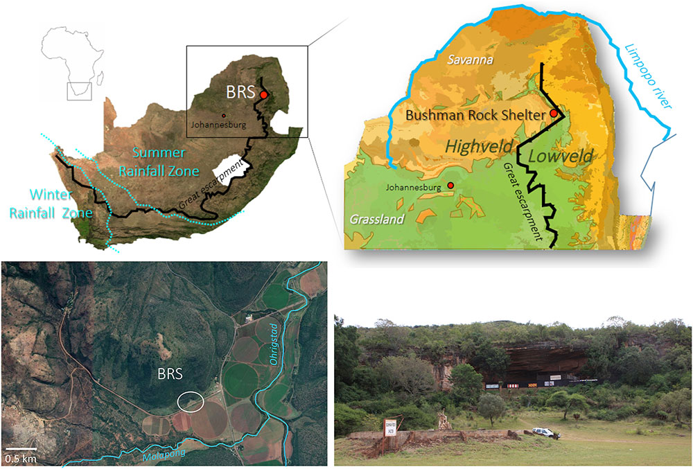 Article | Evaluating sampling methods in charcoal-rich layers and high diversity environment: A case study from the Later Stone Age of Bushman Rock Shelter, South Africa