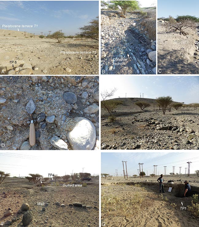 Article | Ancient agriculture in Southeast Arabia: A three thousand year record of runoff farming from central Oman (Rustaq)