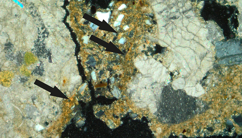 Article | Sedimentary processes and palaeoenvironments from La Combette sequence (southeastern France): climatic insights on the Last Interglacial/Glacial transition