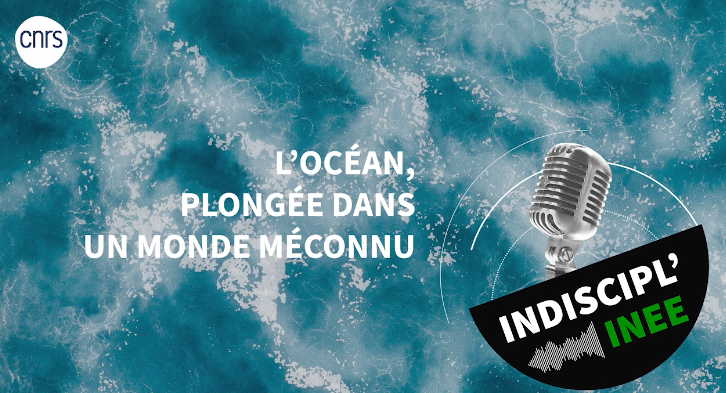 PODCAST | L’océan, plongée dans un monde méconnu – Indiscipl’INEE