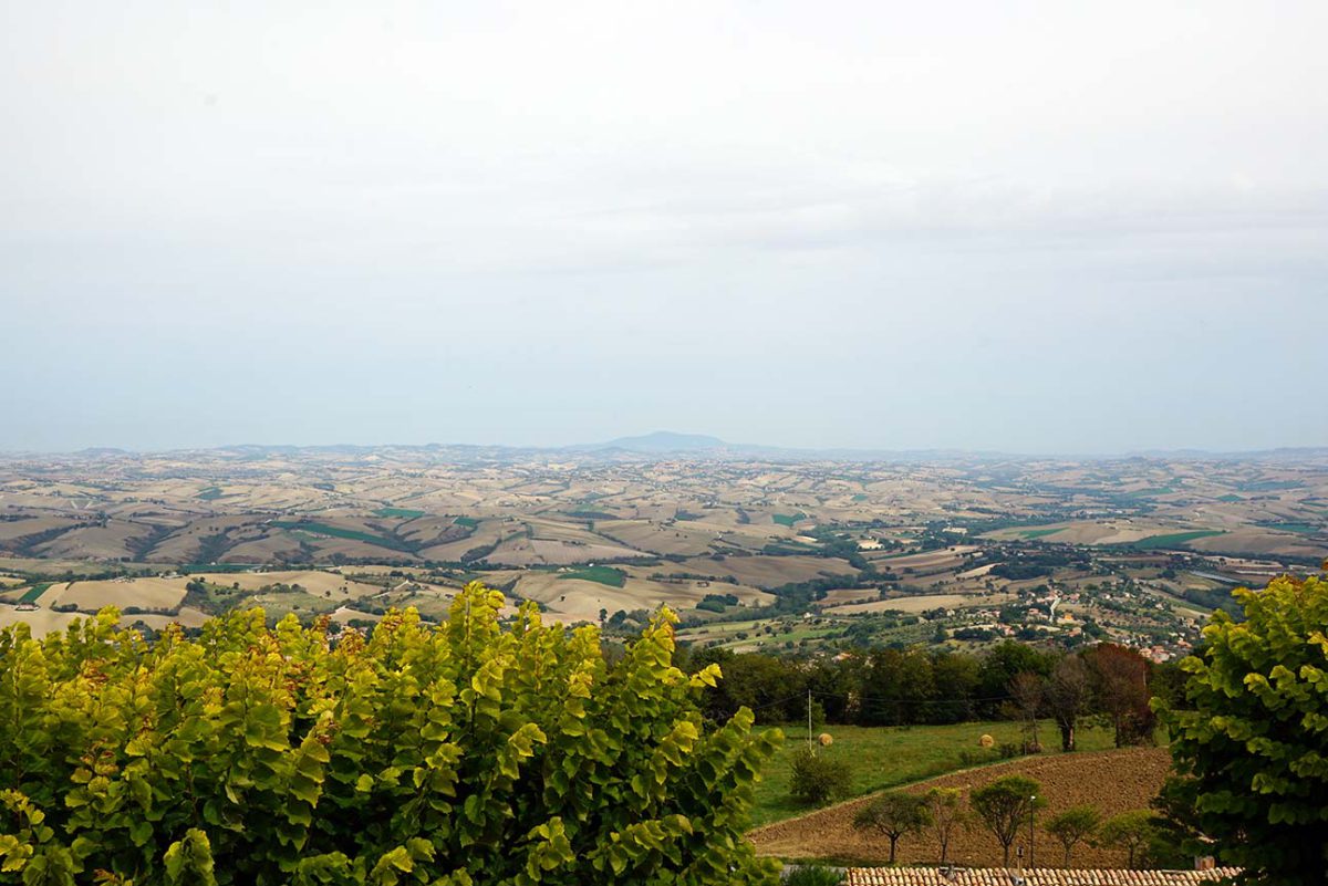 Article | Le Paléolithique ancien des Marches, Italie, 2021