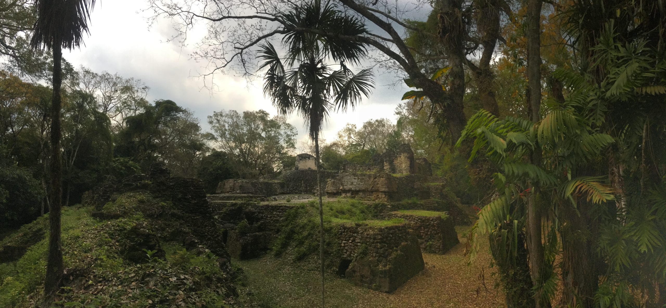 Maya forêt tropicale Guatemala