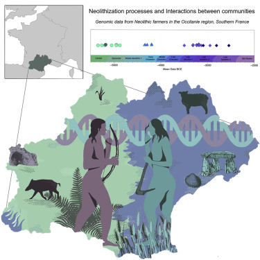 Article | Neolithic genomic data from southern France showcase intensified interactions with hunter-gatherer communities