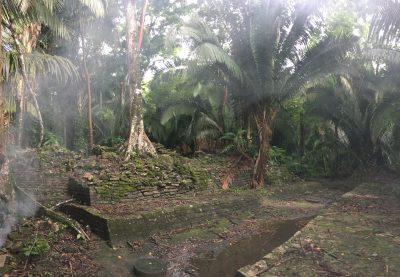 Maya, Cancuén, Archéologie, Forêt tropicale