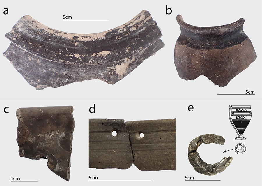 Article | Differences in birch tar composition are explained by adhesive function in the central European Iron Age