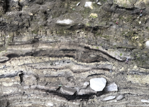 Article | Neolithic shepherds and sheepfold caves in Southern France and adjacent areas: An overview from 40 years of bioarchaeological analyses
