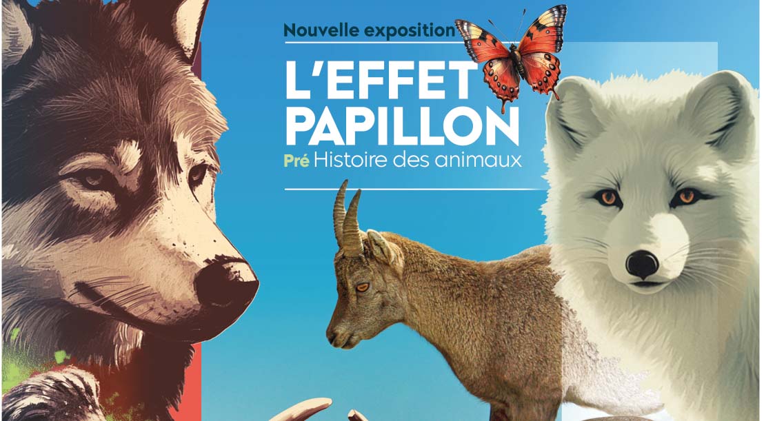 Exposition | L’effet papillon : Pré-Histoire des animaux