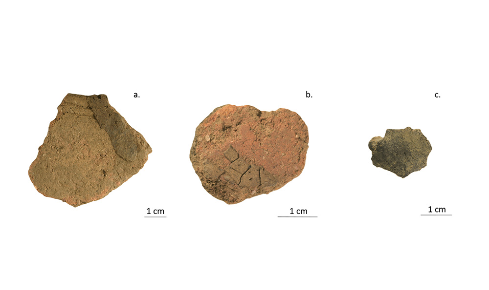Article | Du brai de bouleau dès l’âge du Bronze final en Corse ? Un cas d’étude sur le site de Cuciurpula, Serra-di-Scopamena (Corse-du-Sud)