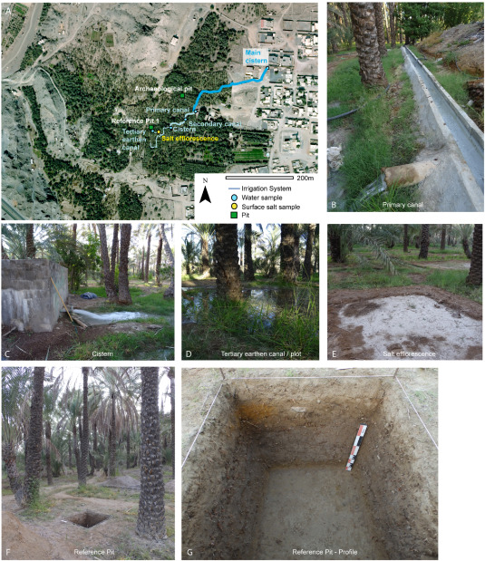 Article | Can we detect soil salinity in ancient arid agricultural soils? A geoarchaeological, physico-chemical and micromorphological investigation (Oasis of Masafi, UAE)