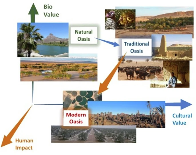 Article | Oases of the world: Urgent call to save key archives for cultural and biological diversity