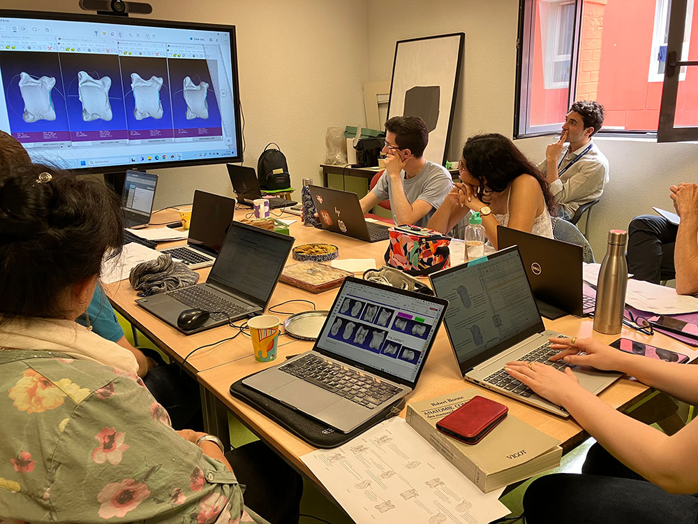 Workshop | Anatomie comparée et imagerie 3D : vers de nouveaux critères d’identification pour les ongulés v. 2.0