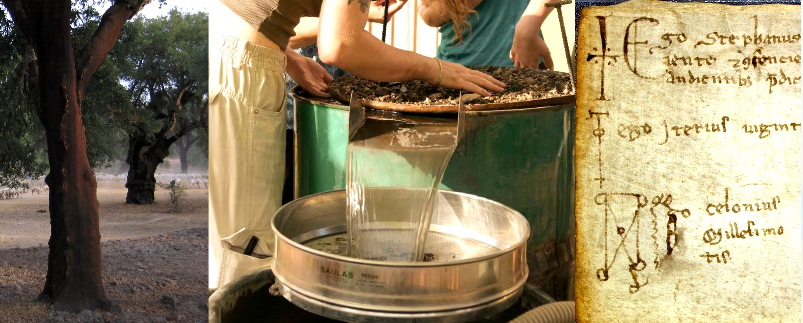 Séminaire | Gestion du territoire et exploitation des ressources végétales et animales au Moyen Âge en Europe méridionale : apports de la bioarchéologie et de l’histoire des textes