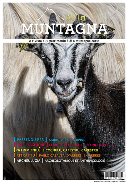 Médiation | Archéobotanique et anthracologie avec Thomas Camagny