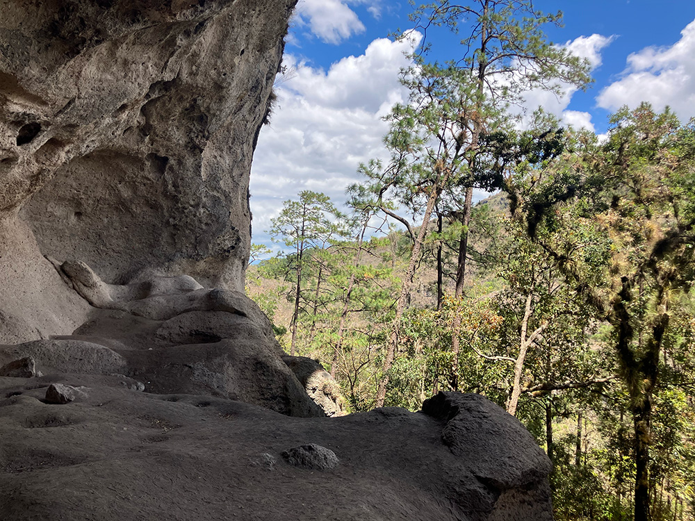 Article | Archaeological charcoals from El Gigante Rockshelter, Honduras, reveal the 10,000 year-long postglacial ecological dynamics of the Central American pine–oak forest