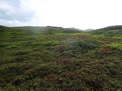 Miquelon