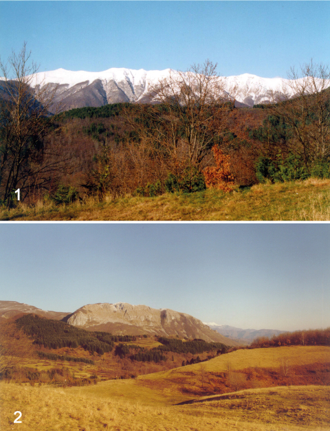 Article | Monte Frignone 2 (San Romano in Garfagnana, Lucca) et la transition néolithique dans l’Apennin tosco-émilien (Italie)
